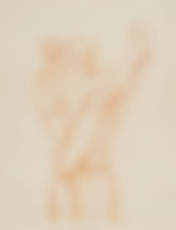 The couple ,
1984 (preview)