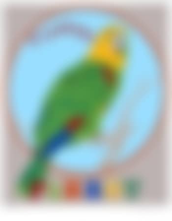 Parrot ,
1971 (preview)