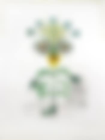 Viola Cogitans (self portrait pansy) ,
1968 (preview)