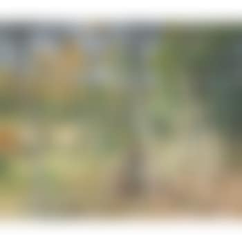 Untitled (Scene de Campagne) , (preview)