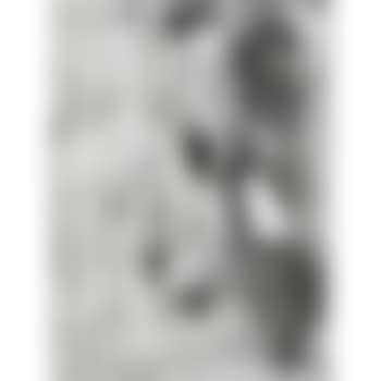 Untitled, plate 61 from Series 156 ,
1916 (preview)
