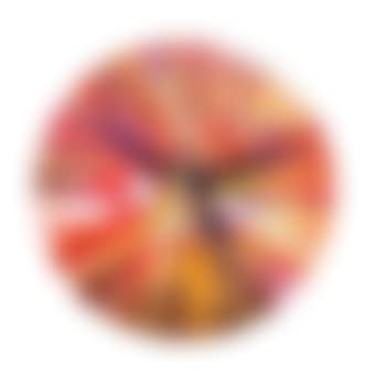 Circle Spin Painting (Created at Damien Hirst Spin Workshop) ,
2009 (preview)