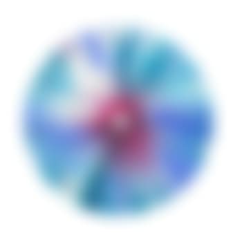 Circle Spin Painting (Created at Damien Hirst Spin Workshop) ,
2009 (preview)