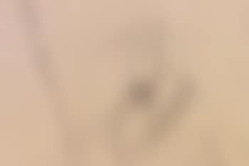 [Untitled] , (preview)