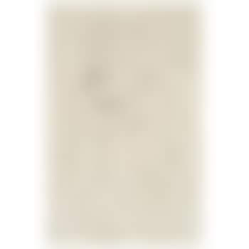 Retrato de Alexander Brooks , (preview)
