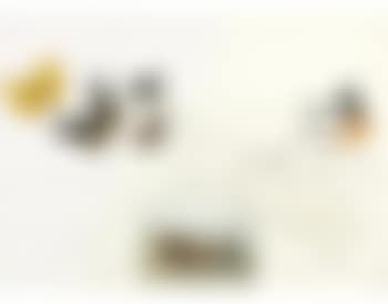 [Untitled] ,
1971 (preview)