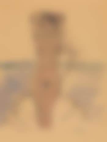 Venus , (preview)