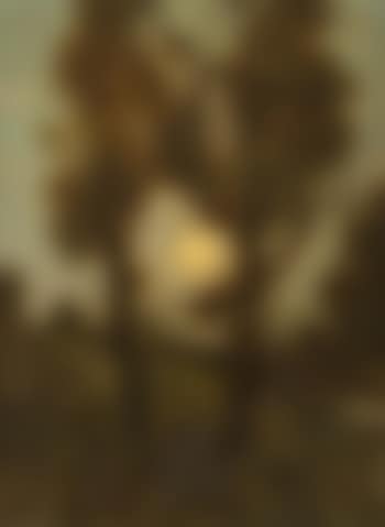 Clair de lune ,
1904 (preview)