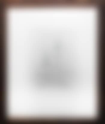 The Search ,
Circa
1965 (preview)