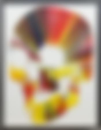 Skull , (preview)