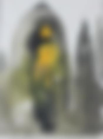 [Untitled] ,
1969 (preview)