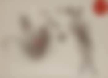 Composition , (preview)