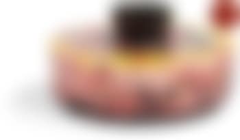 F32 ,
2006 (preview)