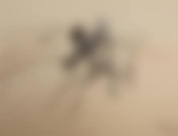Untitled (No 15) ,
Printed
1952 (preview)