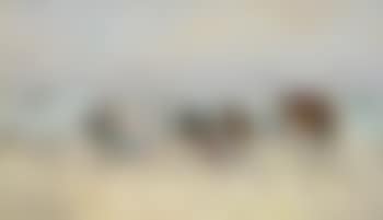 Plage animée à Deauville , (preview)