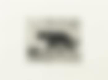 Panther , (preview)