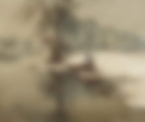 Winter landscape on the lower Rhine , (preview)