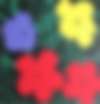 Flowers 2 ,
Circa
1970 (preview)
