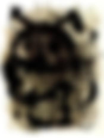 Quelques Fleurs V ,
1964 (preview)