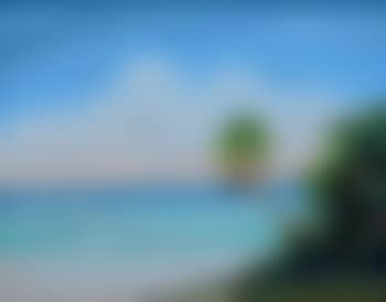 Florida Highwaymen beach coastal scene with trees and birds , (preview)