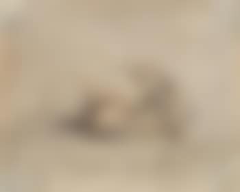 Grotesque Figure , (preview)
