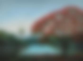 Florida highwaymen backwaters with Royal Poinciana and birds , (preview)