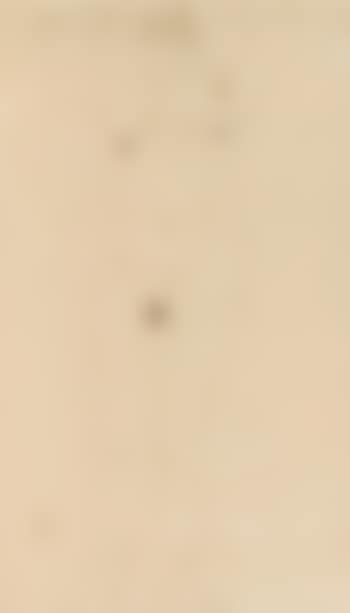 Nude woman , (preview)