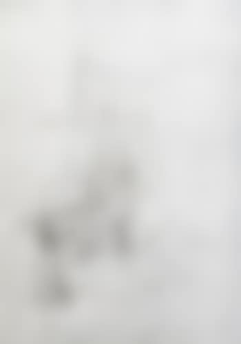 La mère de l’artiste assise 1 ,
1965 (preview)