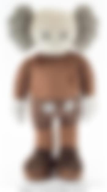 Companion (preview)
