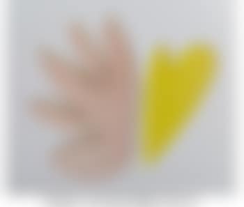 Heart Flower ,
2014 (preview)