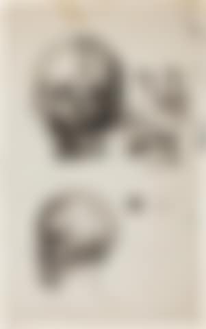 Studies Of Skulls ,
Circa
1944 (preview)
