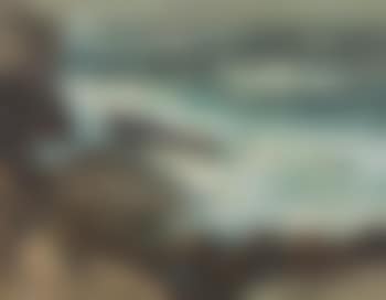 A Grey Morning, California , (preview)