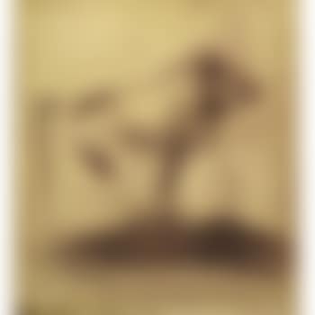 Monkey ,
1994 (preview)