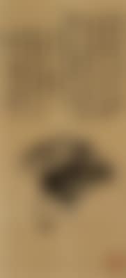 Cabbage ,
1903 (preview)