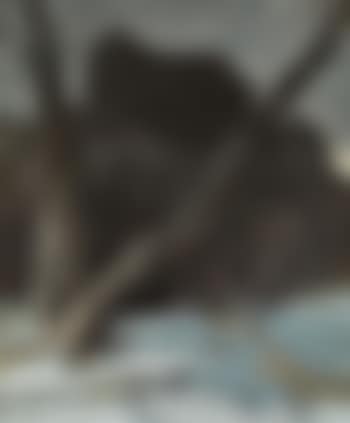 Motive in Kufstein , (preview)