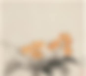 Loquats , (preview)