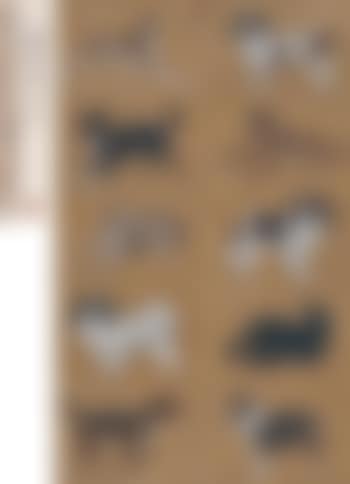 Dogs , (preview)