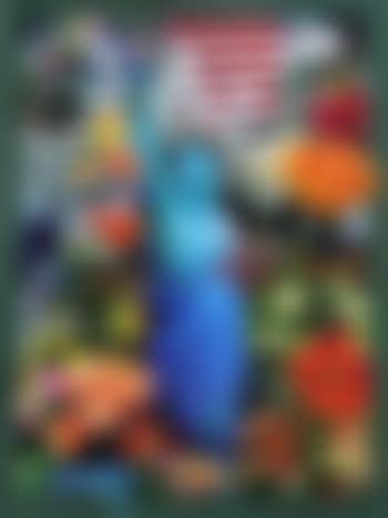 Land of the Free, Home of the Brave , (preview)