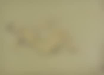 Study of a female nude for Port after Stormy Seas , (preview)