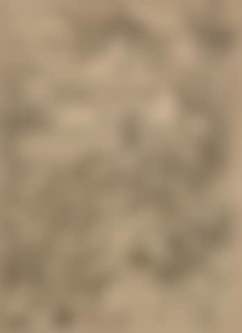 The Holy Family with three hares ,
Circa
1496
-
1498
,
Printed
Circa
1580 (preview)