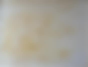 Composition ,
1960 (preview)