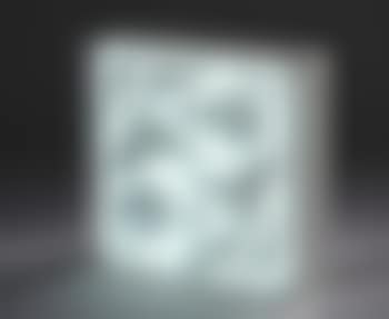 Sans titre ,
2001 (preview)