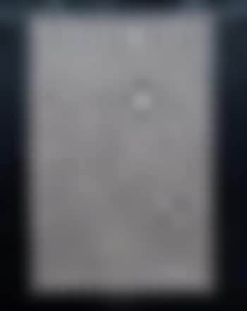 Vega ,
1957
-
1977 (preview)