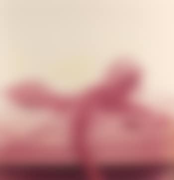 Marilyn Monroe (from the Last Sitting) , (preview)