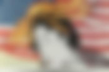 Madame Butterfly , (preview)