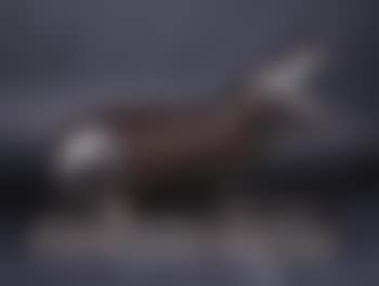 Hippopotame , (preview)