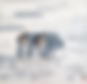 Zwei Reispflanzerinnen , (preview)