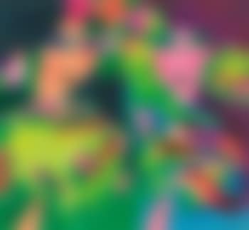 Open all windows and let me in , (preview)