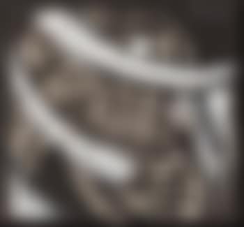 Quatres histoires de blanc et noir ,
Circa
1925 (preview)