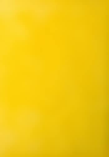 Segno giallo ,
1970 (preview)